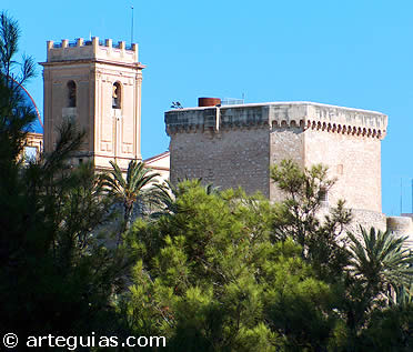 Vista del palmeral de Elche y al fondo el castillo y la bas&iacute;lica.