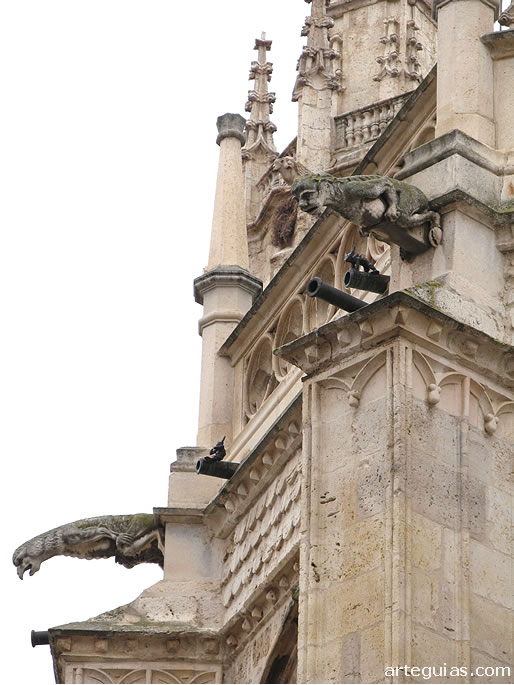 G&aacute;rgolas y pin&aacute;culos