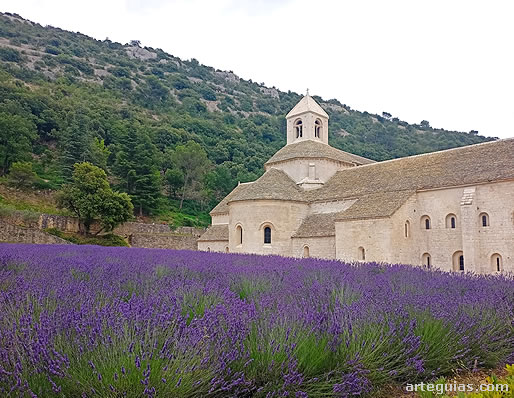 Sénanque y sus campos de lavanda