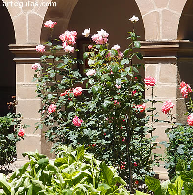Imagen primaveral del claustro del monasterio