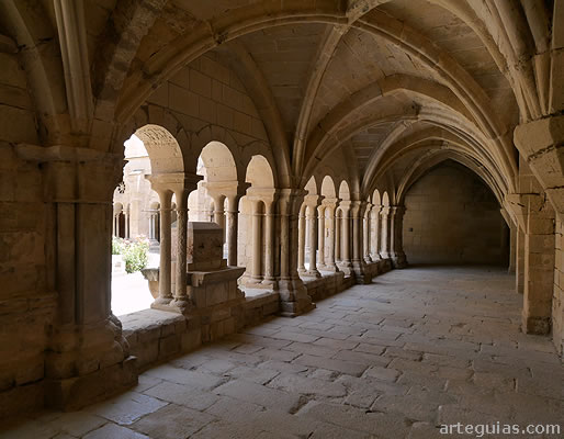 Interior de la panda meridional