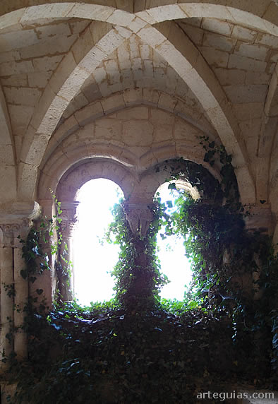 La vegetaci&oacute;n ha inundado algunas zonas de la sala capitular