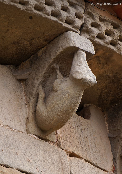 Cerdo o jabalí