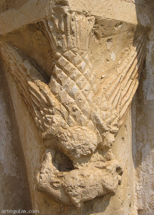 Águila atrapando una presa