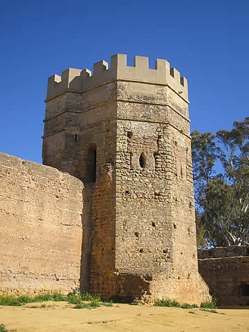 Detalle del castillo de Alcal&aacute; de Guadaira