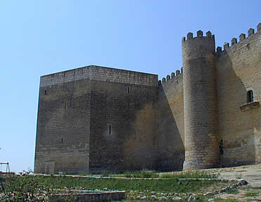 Castillo de Montealegre