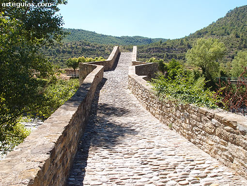 Calzada o tablero del Puente de Besi&aacute;ns